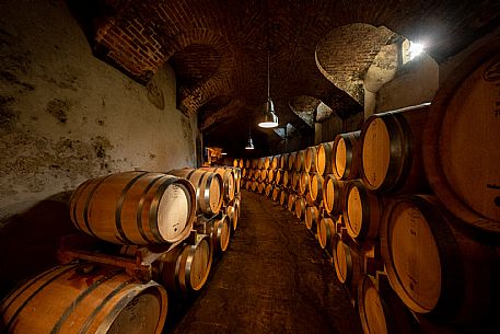 Cellar - Barrels - Wine